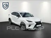 2021 Lexus NX300