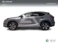 2021 Lexus NX300