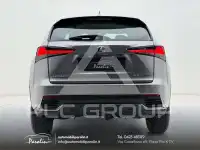 2021 Lexus NX300