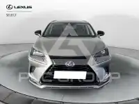 2021 Lexus NX300