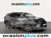 2021 Lexus NX300