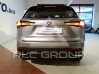 2021 Lexus NX300