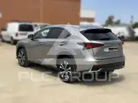 2021 Lexus NX300