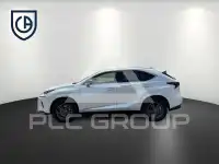 2021 Lexus NX300