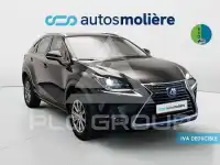 2021 Lexus NX300