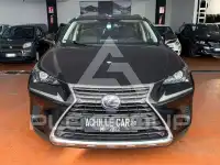 2021 Lexus NX300