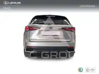 2021 Lexus NX300