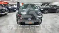 2021 Lexus NX300