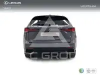2021 Lexus NX300