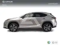 2021 Lexus NX300