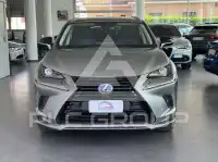 2021 Lexus NX300