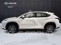 2021 Lexus NX300