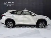 2021 Lexus NX300