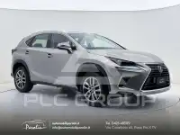 2021 Lexus NX300