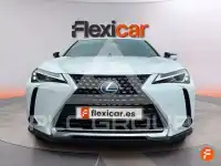 2021 Lexus UX250