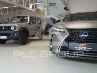 2021 Lexus UX250