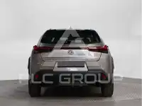 2021 Lexus UX250