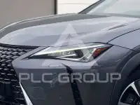 2021 Lexus UX250