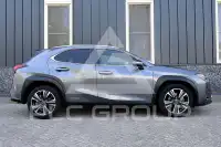 2021 Lexus UX250