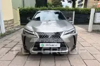 2021 Lexus UX250