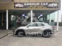 2021 Lexus UX250