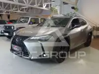 2021 Lexus UX250