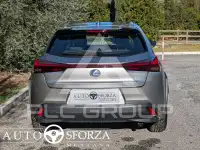 2021 Lexus UX250