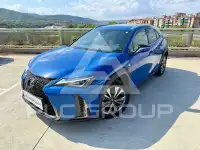 2021 Lexus UX250