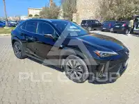 2021 Lexus UX250