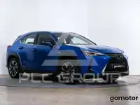 2021 Lexus UX250