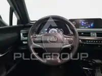 2021 Lexus UX250