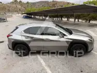 2021 Lexus UX250