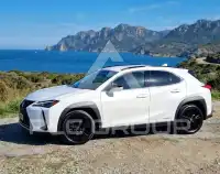 2021 Lexus UX250