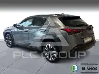 2021 Lexus UX250