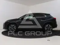 2021 Lexus UX250
