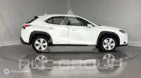 2021 Lexus UX250