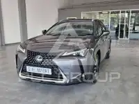 2021 Lexus UX250