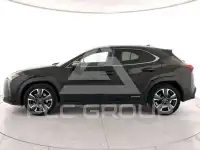 2021 Lexus UX250