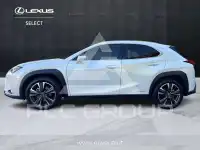 2021 Lexus UX250