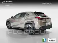 2021 Lexus UX250