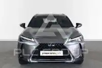2021 Lexus UX250