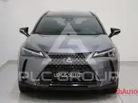 2021 Lexus UX250