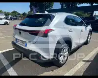 2021 Lexus UX250