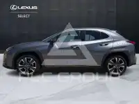 2021 Lexus UX250