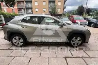2021 Lexus UX250