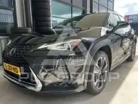 2021 Lexus UX250
