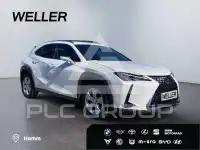 2021 Lexus UX250
