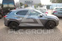 2021 Lexus UX250