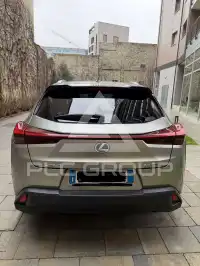 2021 Lexus UX250
