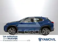 2021 Lexus UX250